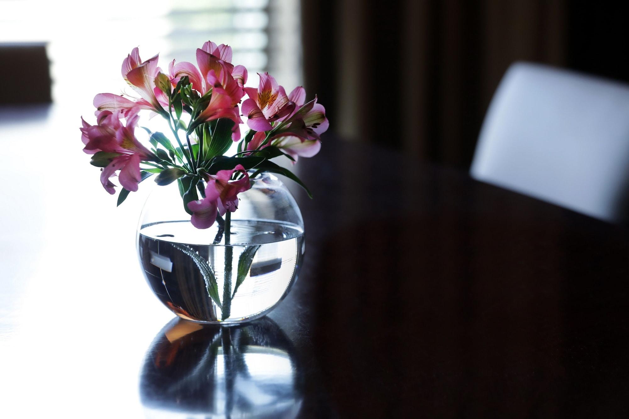 Park Hyatt Hotel, Casino &